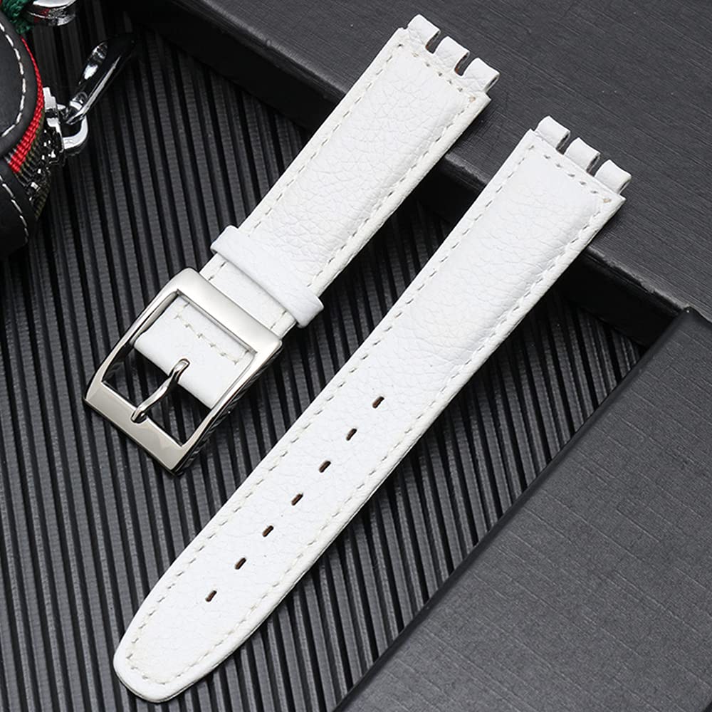 Chocoman Swatch Replacement Watch Band 3 Spring Spring Bar and 17mm/19mm [Includes Bars, Remover, Box]