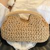 Geantă de mână mică specială, nouă, culoare solidă, stil vintage, modă, paie artificială împletită, pentru femei, geantă plic versatilă, stil pastoral
