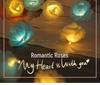 LED Rose String Lights - Romantic Valentine's Day Bedroom Decor