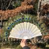 Victorian Gothic Folding Fan with Peacock Feathers and Roses for Photo Props Lolita Fashion Wedding Decor Halloween Costume