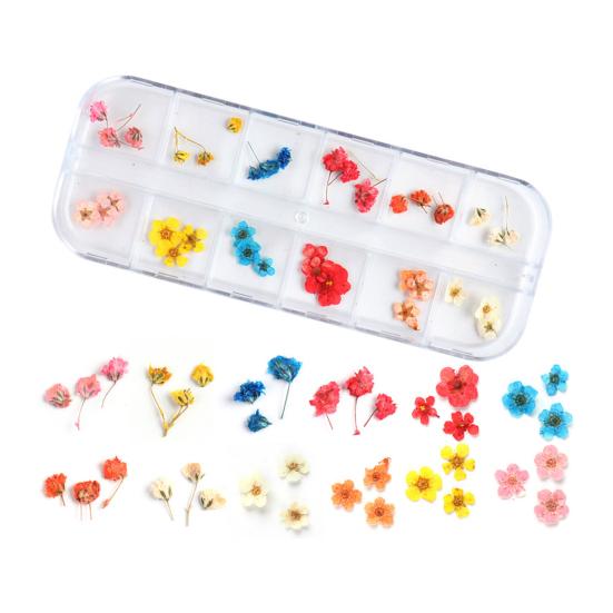 Nail Art Trockenblumen Einzigartige exquisite konservierte Nagelaufkleber aus Kunststoff für Nagelstudios