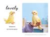 Cross-Border Yellow Parrot Plush Toy - Cute, Comforting Doll and Hot-Selling Animal Plush