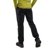Montane Брюки Terra Lite