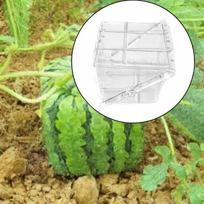 Square Shaped Watermelon Growing Mold Fruit Shape Tool Unique Equipment Creative Premium Clear