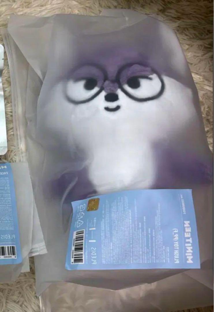 

[USED] Seventeen Miniteen Wonwoo Plush Toy