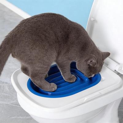 Gatos – Herramientas de aprendizaje para gatos