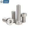 Guwanji 304 Stainless Steel Low Head Hex Socket Screws