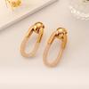 2023 New European And American Fashion New  Light Luxury Style Simple Earrings Oval Geometric Shape Metal Color Mesh Chain Exaggerated Earrings