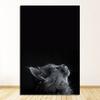 Decor Decorations For House Decoration Room Wall Stickers Home Decor Living Room Paintings By The Cat Poster Painting Nursery