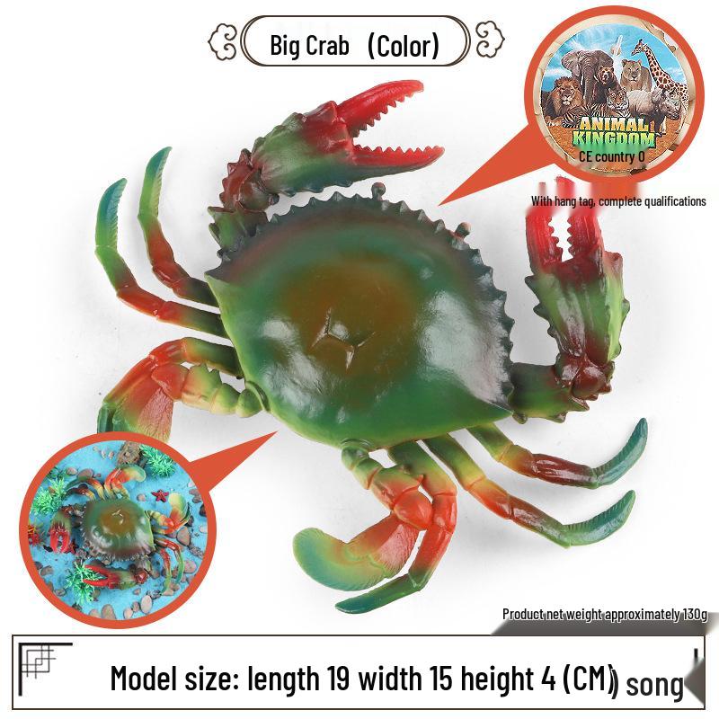 Children s Cognitive Crab Simulation Teaching Toys - Hairy, Stone, and Swimming Crab Models