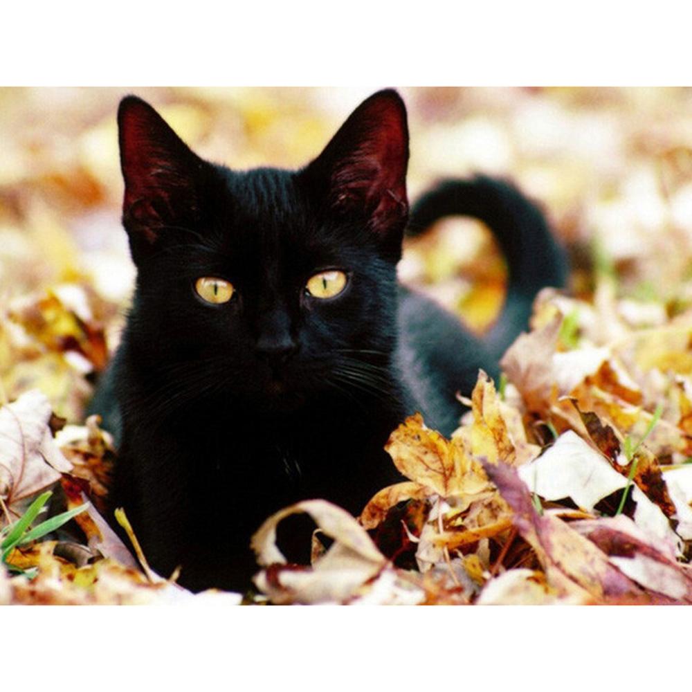 Diamond Painting Kit Black Cat Animal Diamond Embroidery Mosaic Handmade Picture Of Rhinestones Gift Home Decor 5d Diy
