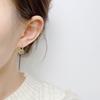 Ear Buckle Popular Jewelry Temperament Earrings Female A Two Wear Zirconia Earrings Commuter Wind Round Face Thin Ear Buckle Jewelry Trends