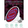 ABWR-2X E27 300Leds Plant Grow Lamp LED Full Spectrum Growth Light Bulbs Seedling Flower Phyto Lamp