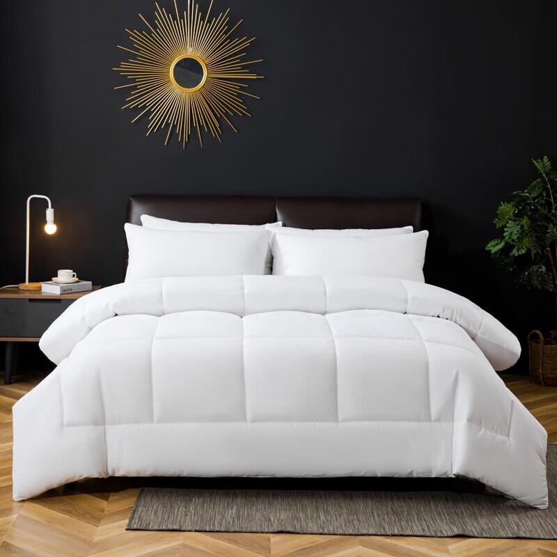 

Piert Paolo Nano Antibacterial All-Season Quilt
