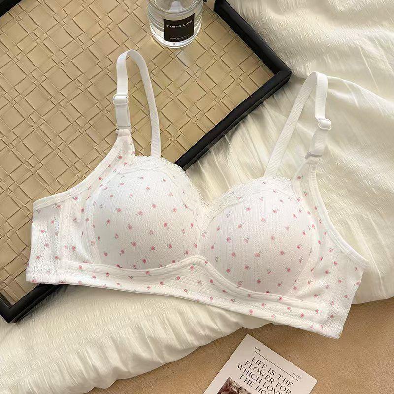 Japanese Style Cute Bra Set Small Bust Push Up Round Shape Non-wired Adjustable Fixed Cup