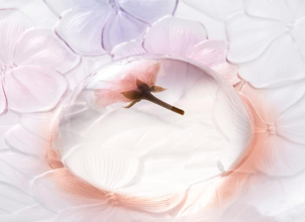 Nyår Nya Gåvor Japanska Sötsaker Mizu Warabi Mochi Gelé Soumikaan Vattenand Sakura Warabi Mochi 6 stycken Sötsaker Japanska Sötsaker Årets Ankodo's