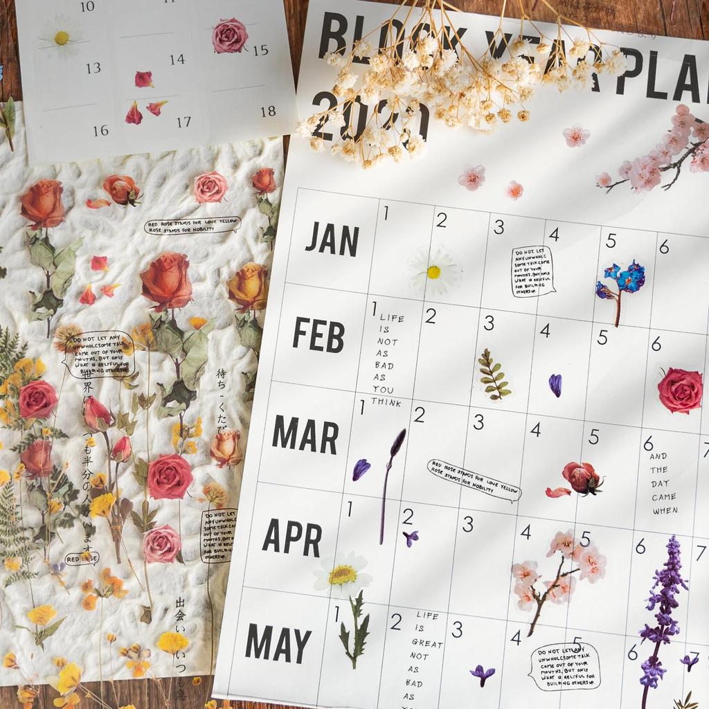 12 Folhas de Scrapbook de Flores Decorativas Planta em Destaque PET Transparente para Fotos e Artesanato DIY Adesivos, Adesivos, Adesivos, Adesivos, Material,