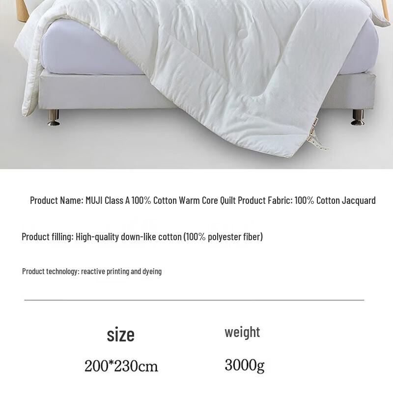 Muji Winter Warm Core Quilt