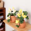 Garten Künstlich Grün Calla Miniatur Pflanzenmodell Puppenhäuser Pflanzzubehör Realistisches Spielset 1:12