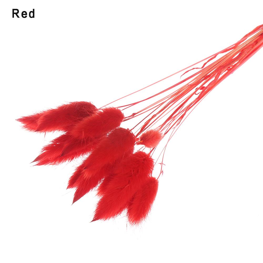 20 ks/svazek Přírodní sušené květiny Králičí ocas Umělé květiny Barevné falešné králičí ocásky Kytice Pastorační styl Foto Pr