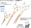 Deeds Professional Thinning Scissors with Forged Pink Gold Titanium Handles 30 Thinning Made In Japan by a Japanese Scissors Ideal for Hairdressers