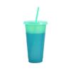 720ML Water Bottle Temperature Sensor Food Grade PP DIY Craft Color Changing Straw Water Tumbler