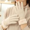 1 PAIR Ladies Winter Touch Gloves with Plush Lining, Thick Thermal Gloves, Durable Polyester