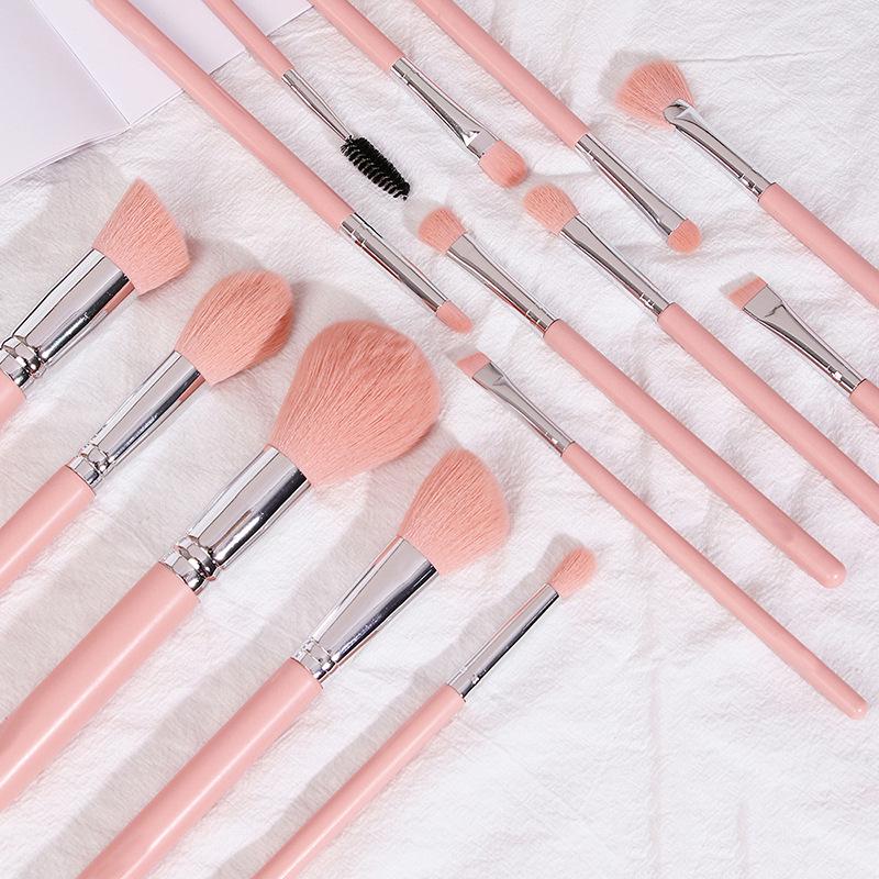 14-Piece Half-Sugar Pink Makeup Brush Set: Portable Powder, Foundation, Blush, Eyeshadow, and Concealer Brushes with Soft Bristles