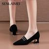 French High Heels Women's 2025 Spring and Autumn New Versatile Black Medium Heel Pointed Single Shoes Work Shoes