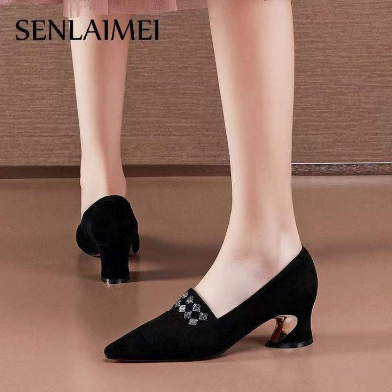 French High Heels Women's 2025 Spring and Autumn New Versatile Black Medium Heel Pointed Single Shoes Work Shoes