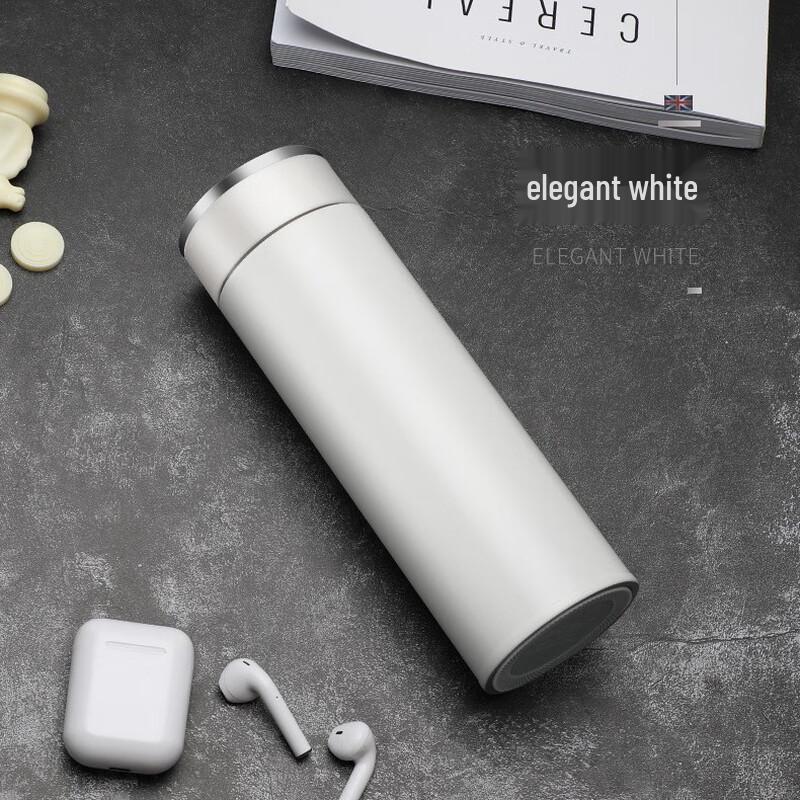 Smart Stainless Steel Insulated Tea Infuser Bottle with Temp Display