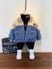 Boys' Plush Lined Jacket - 2025 Winter Style Lambswool Baby Coat, Children's Thick Cotton Padded Outerwear