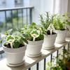 Plant Label Identification Set, 15 Garden Identification Signs, Outdoor Garden Plant Labels, Plant Labels