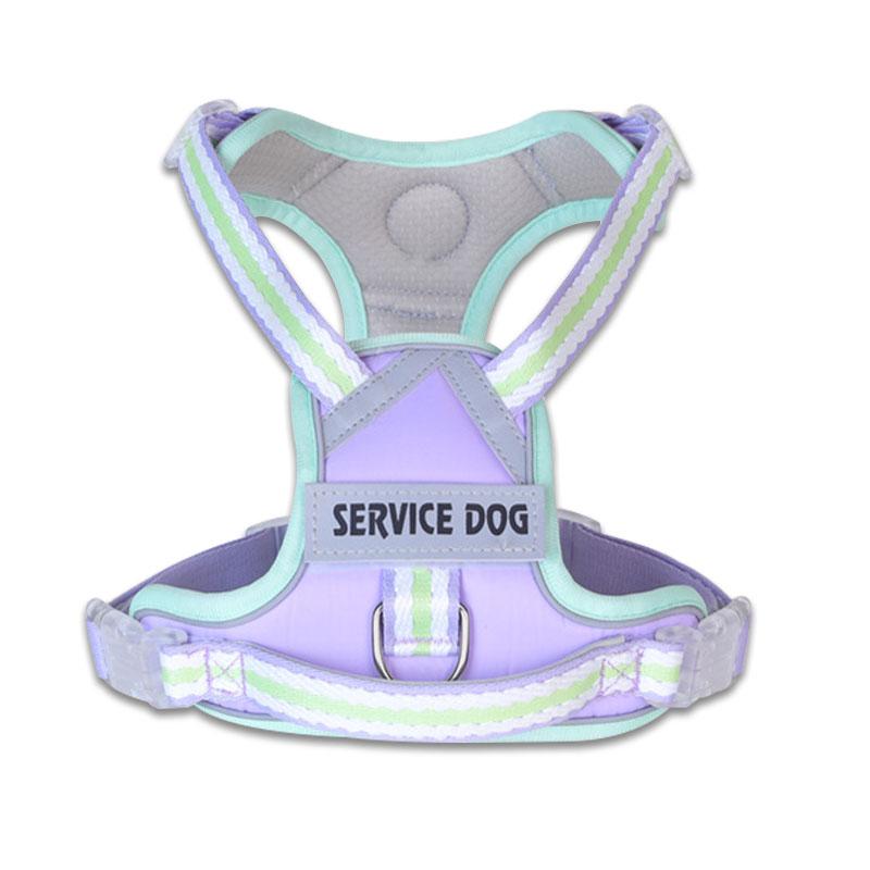 New Reflective Dog Harness, Dog Harness with Customizable Name and ID, Cute Style Pet Leash, Explosion-proof Dog Collar