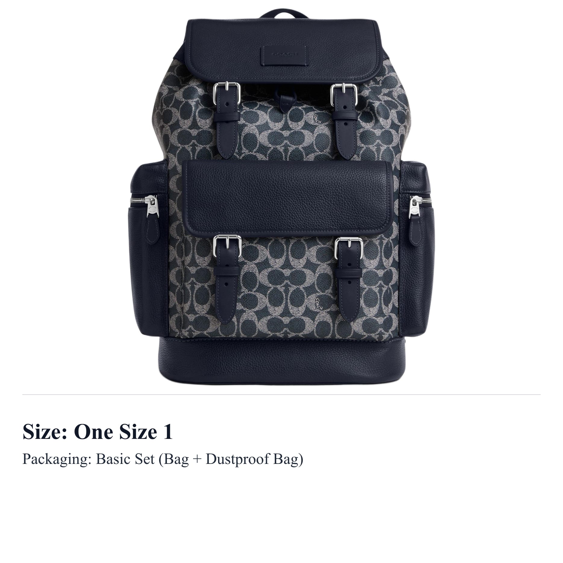 COACH Sprint Cow Leather Backpack Large