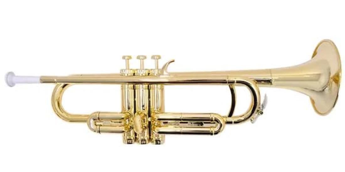 

ТРУБА PLAYTECH, АБС-пластик, Легкая (приблизительно. 500г), Полужесткий чехол в комплекте, Золотой