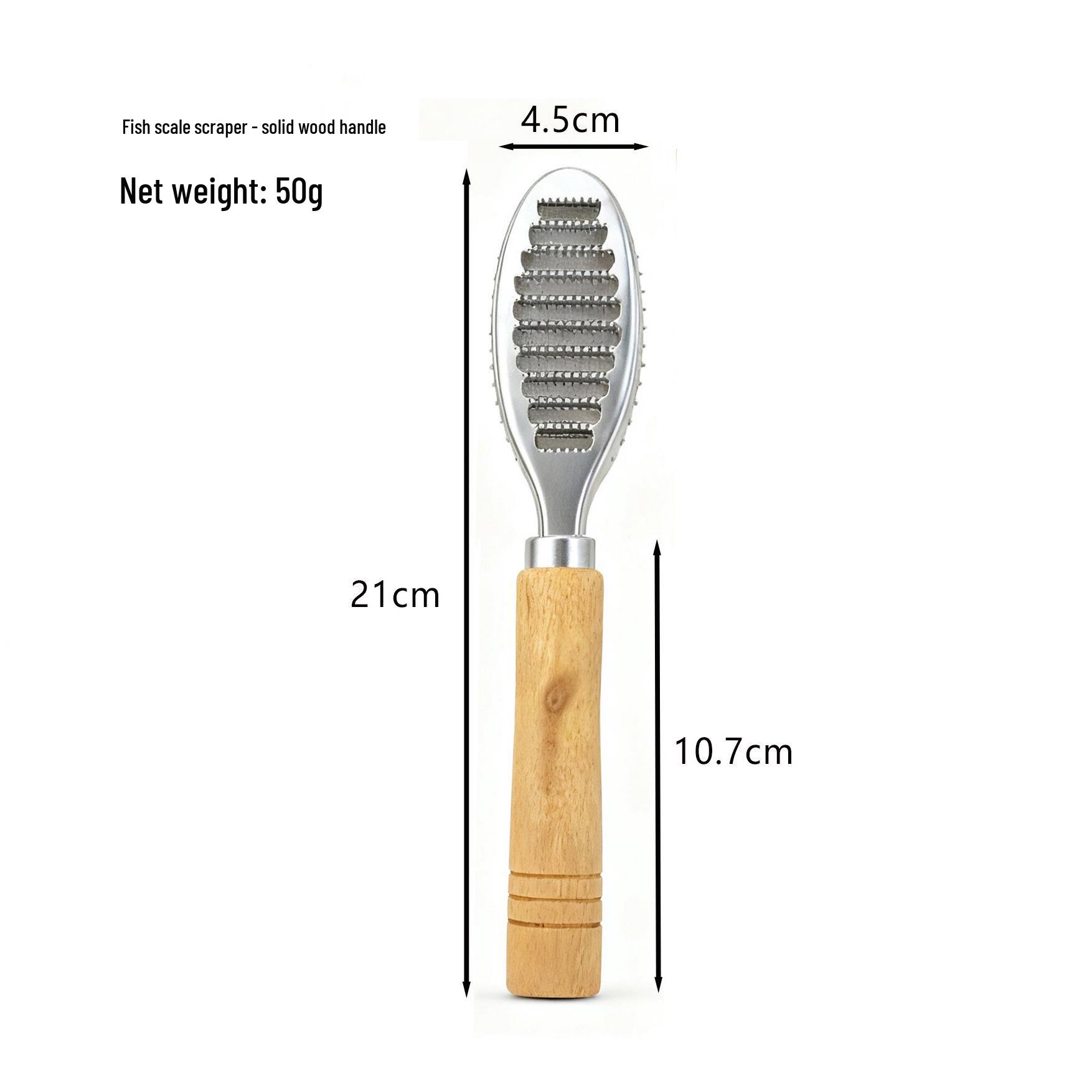 Dual-Use Stainless Steel Fish Scale & Ginger Scraper for Home & Commercial Kitchens