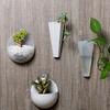 Kreative Wandpflanzer für Kräuter Sukkulenten und kleine Blumen für den Innenbereich