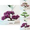 Stunning Bonsai Simulation Artificial Pine Tree Pot Plant For Home And Office Decor