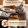Anti-Slip Elevated 3-Bowl Pet Feeder Set, Raised Cat and Small Dog Food Water Bowls with Stand, Neck Strain Relief (Black)