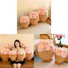 Adorable Plush Pig Toy Stuffed Animal Cute Companion For Kids And Bedtime Cuddling