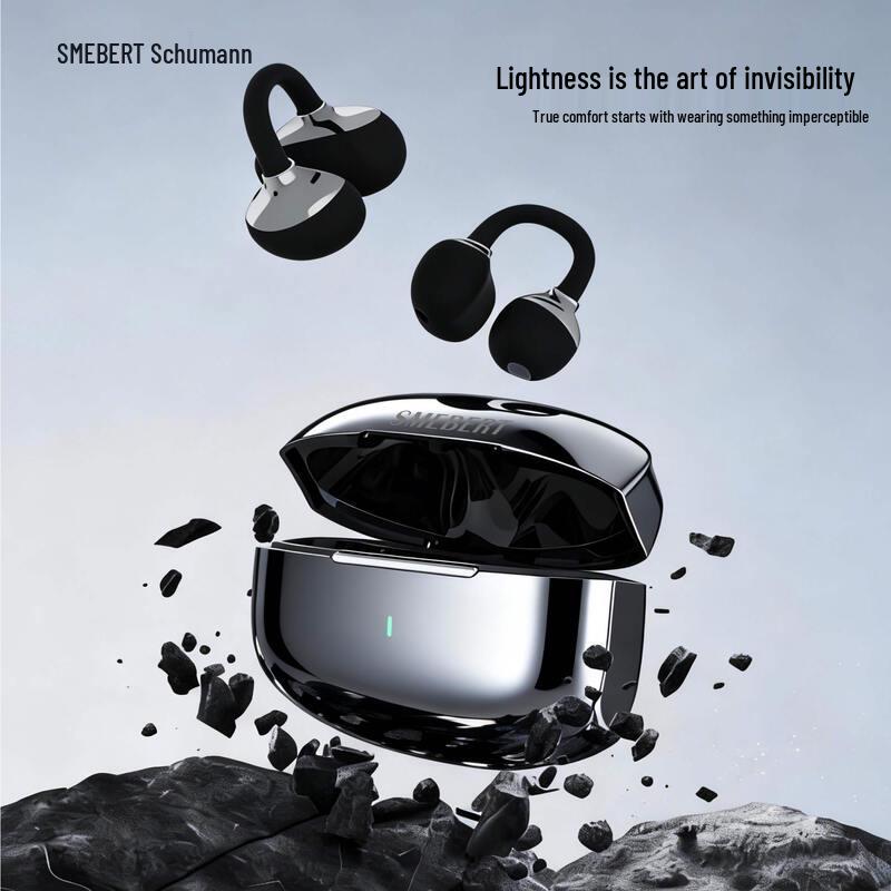 SMEBERT Schumann True Wireless Bluetooth-Kopfhörer