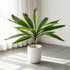 Large Realistic Artificial Fern And Plants with Green Dragon's Blood Tree Faux Foliage, UV Resistant Outdoor