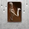 skeleton Vintage Tin Sign Home Decor Wall Decor Art Wall Mural Room Decoration Decor Retro Metal Sign Plate Bar Posters