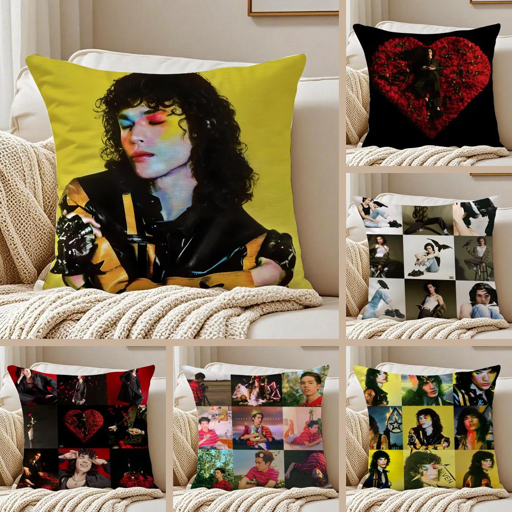 Singer CConan GGray Found Heaven Cushion Cover Pillowcase Antidustmite living Room Sofa Decor Cushion Room