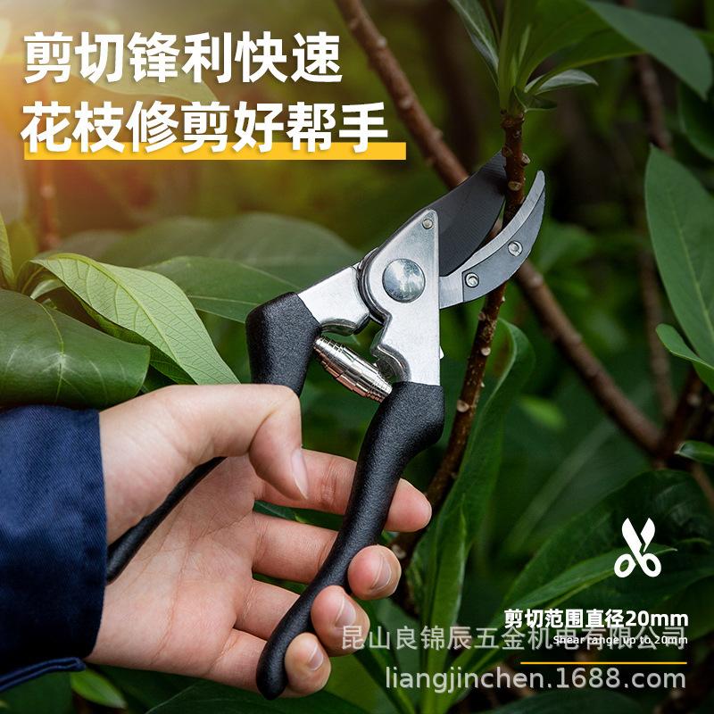 Deli Tools DL580203 Gardening Shears: Labor-Saving Pruning Shears for Flowers and Fruit Trees