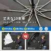 Linnuim Folding Folds in 3 Shape Memory Automatic Opening and Closing in 1 Second Improved 10 Ribs 105cm Umbrella Large Durable Even in Strong Super