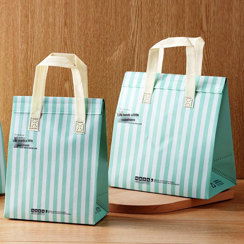 Yidengxia Disposable Insulated Aluminum Foil Bags
