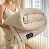 Milk Velvet Warm Autumn Winter Blanket Solid Color Soft Plush Throw Blanket for Sofa Nap Skin Friendly Single Double Bed Blanket
