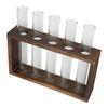 Tabletop Glass Tube Vase High Borosilicate Glass Pine Wood Frame Retro Tube Plant Vase for